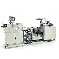PEEK Single Screw Extrusion Casting Machine
